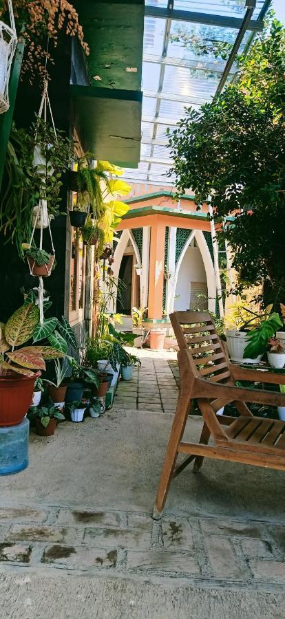 Latansa Homestay Banyuwangi  Bagian luar foto